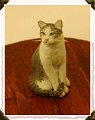 kitty